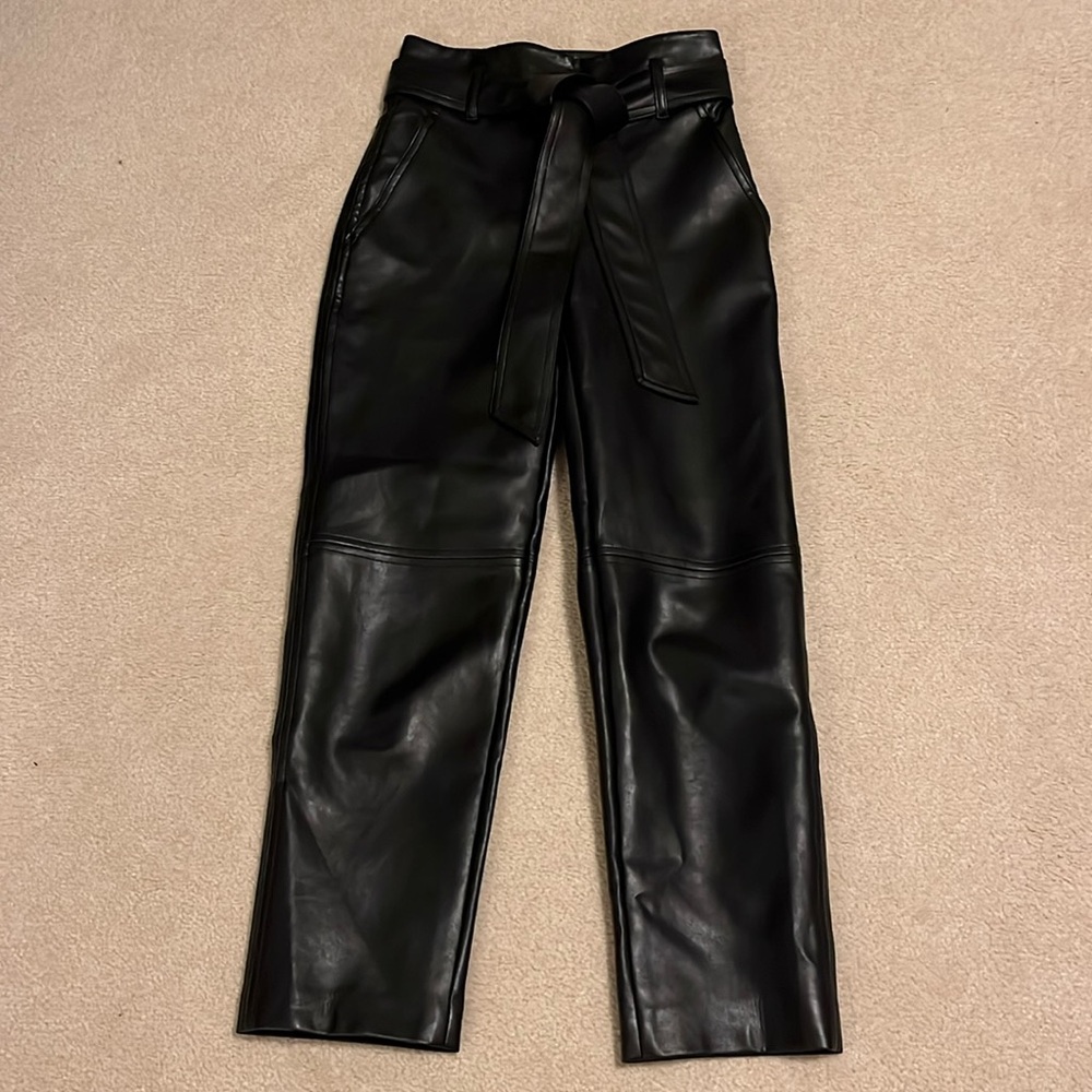 Aritzia belted vegan leather pants